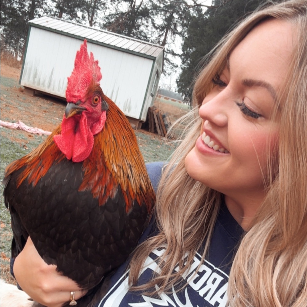 Meet your Posher, Elizabeth